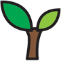 Green Web Hosting