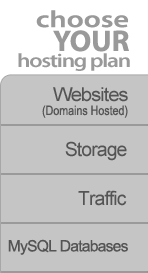 Hosting Plan