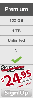 Premium 100GB $24.95