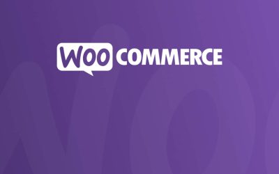How to Prevent and Manage Online Payment Fraud in 2023