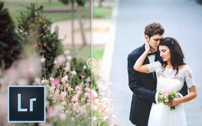 90+ Best Free Lightroom Presets 2024