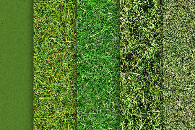 15+ Grass Photoshop Brushes, Textures & Patterns