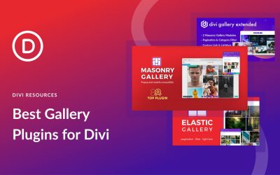 6 Best Divi Gallery Plugins to Impress Site Visitors in 2024